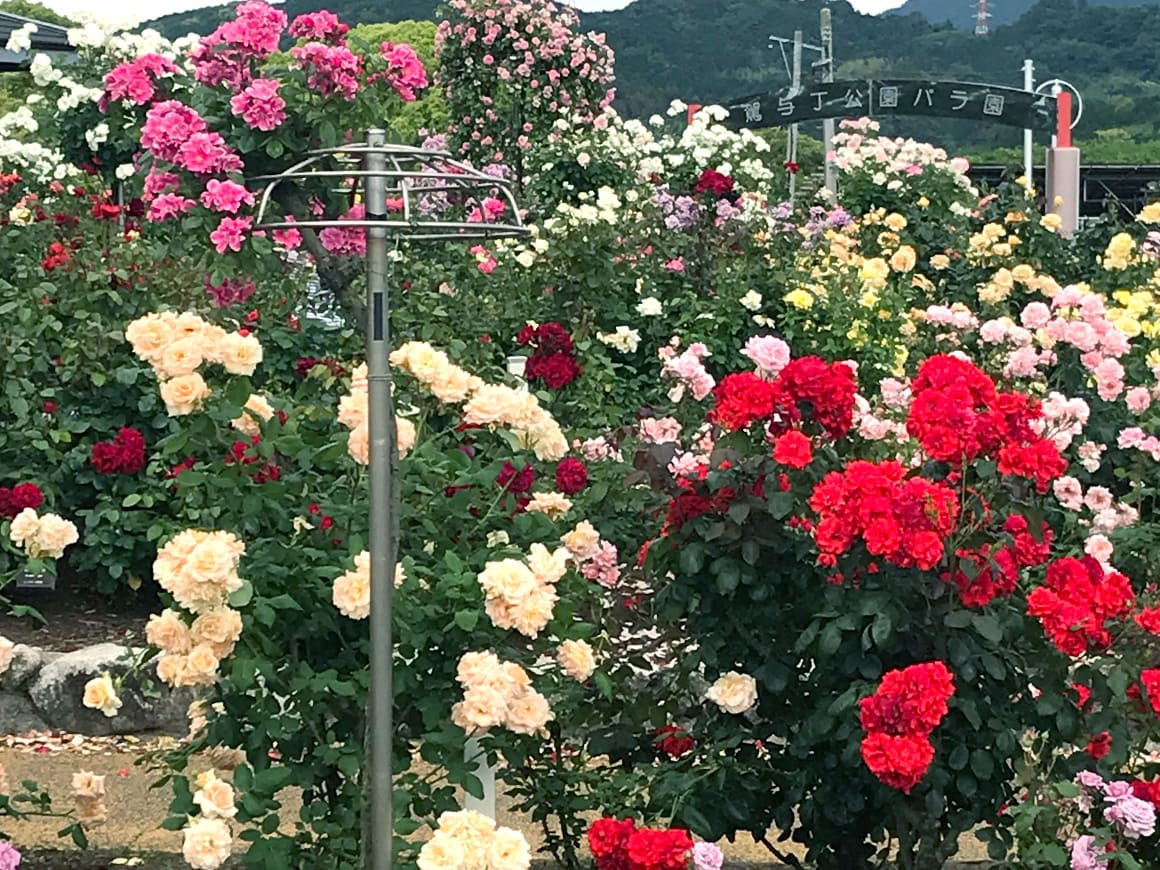 糟屋郡粕屋町