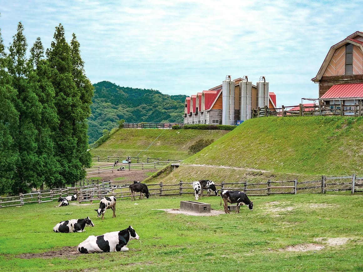 福岡市南区