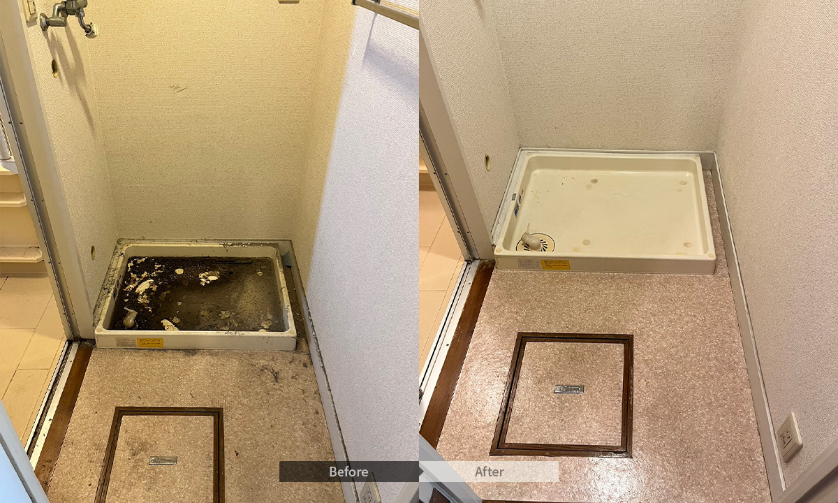 洗濯機置き場のクリーニング